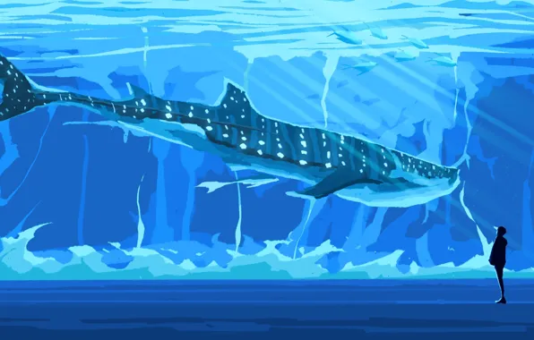 Shark, guy, aquarium, Fangpeii