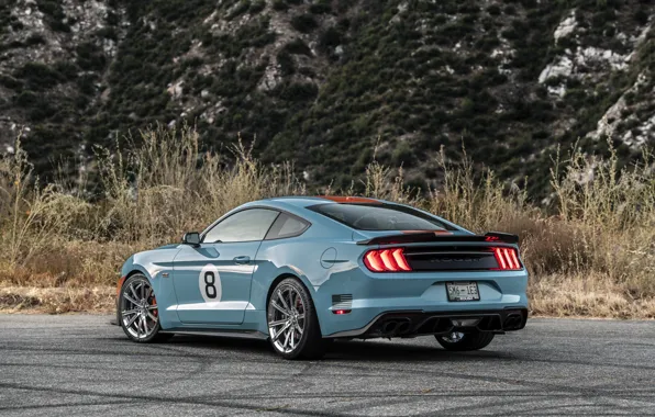 Lights, Mustang, Ford, rear view, Mustang GT, Roush, 2019, Performance Stage 3