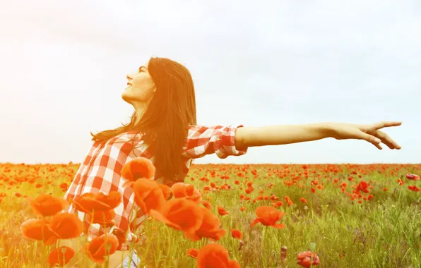 Picture field, freedom, leaves, girl, the sun, joy, flowers, red