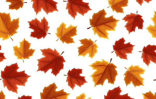 Autumn, leaves, background, colorful, maple, background, autumn, pattern