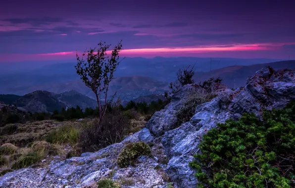 Wallpaper the sky, trees, landscape, sunset, mountains, Spain, Sierra ...