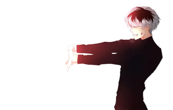 Guy, Tokyo Ghoul, Tokyo ghoul, The Kaneko Ken