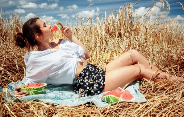 Picture field, summer, the sky, girl, clouds, pose, skirt, watermelon