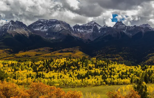 Autumn, forest, mountains