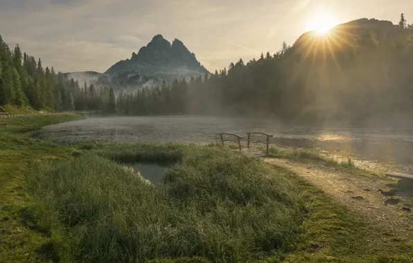 Forest, grass, the sun, rays, light, mountains, fog, lake