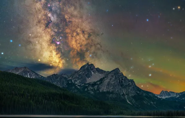 Forest, stars, mountains, night, rocks, shore, The milky way, pond