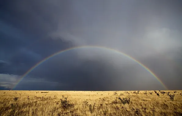 The sky, grass, clouds, rainbow, New Mexico