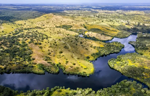 Picture trees, nature, river, field, the view from the top