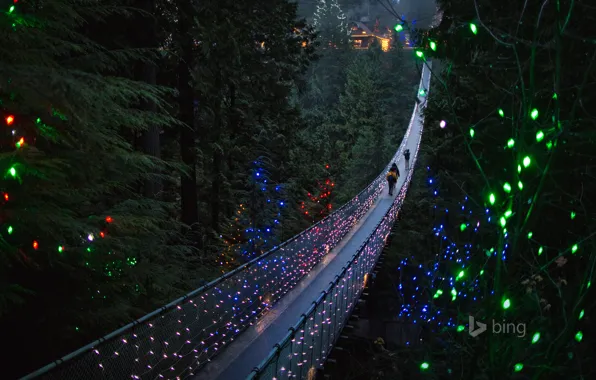 Trees, lights, people, holiday, Canada, British Columbia, suspension bridge, North Vancouver
