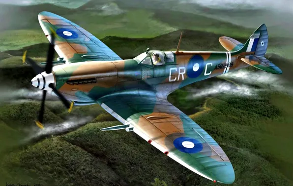WWII, RAAF, Clive Caldwell, Spitfire Mk VIII, ''Killer''