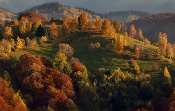 Autumn, trees, landscape, nature, hills, Romania, Alexander Perov