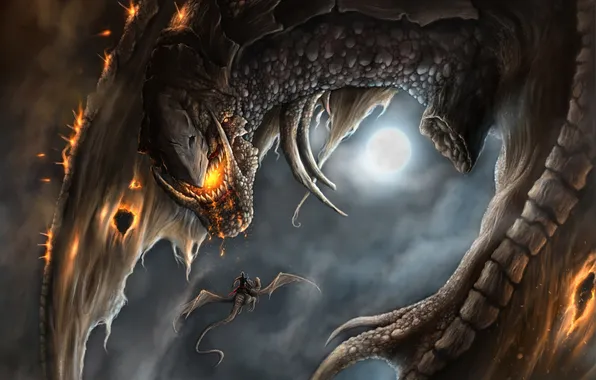 Picture night, fire, the moon, dragon, wings, art, holes, rider