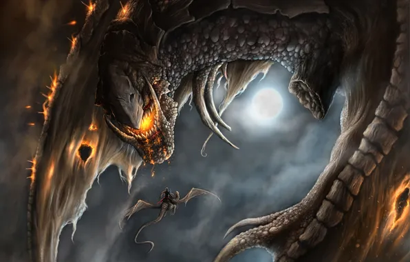 Night, fire, the moon, dragon, wings, art, holes, rider