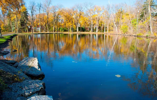 Autumn, trees, pond, Park, stones, bench
