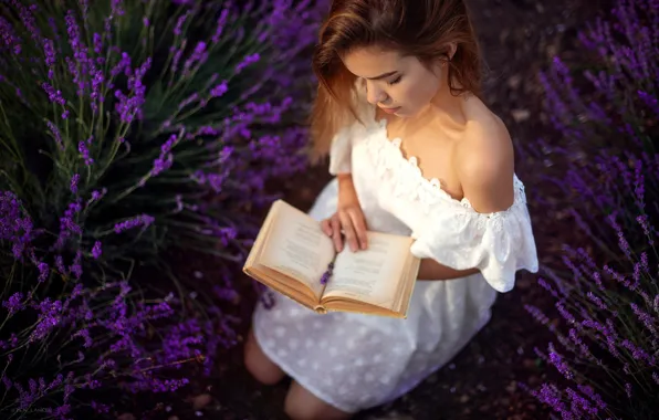 Picture girl, flowers, pose, mood, dress, book, shoulder, lavender