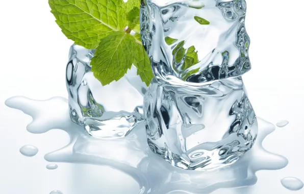 Ice, water, leaves, ice cubes