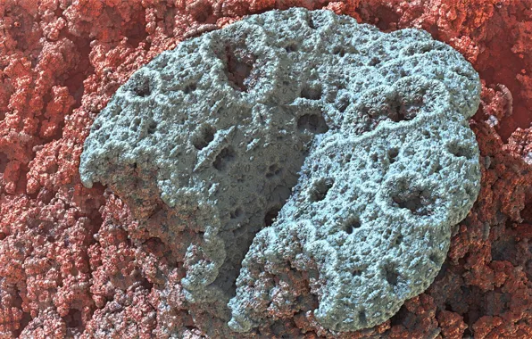 Surface, form, bump