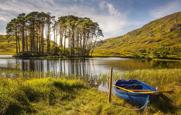 Picture Nature, Grass, Autumn, Lake, Trees, Boat, Scotland
