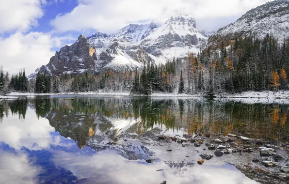 Picture landscape, nature, Mount Huber reflected in Schaffer, Wiwaxy Should