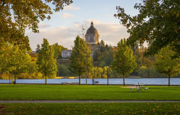 Autumn, trees, Park, the building, Washington, USA, promenade, pond