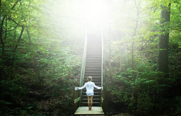 Forest, girl, trees, Park, steps