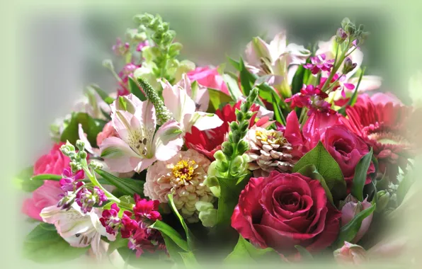 Picture flowers, background, bouquet, composition
