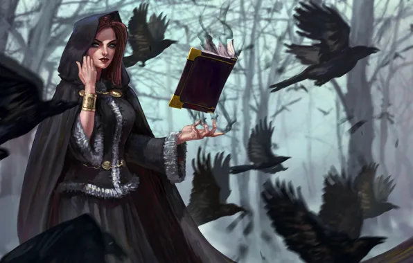 Picture forest, trees, birds, magic, fantasy, art, hood, crows