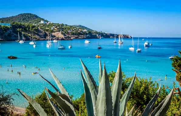 Sea, beach, coast, yachts, Spain, Ibiza