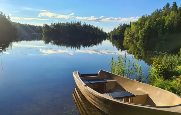 Greens, forest, summer, clouds, light, lake, reflection, blue