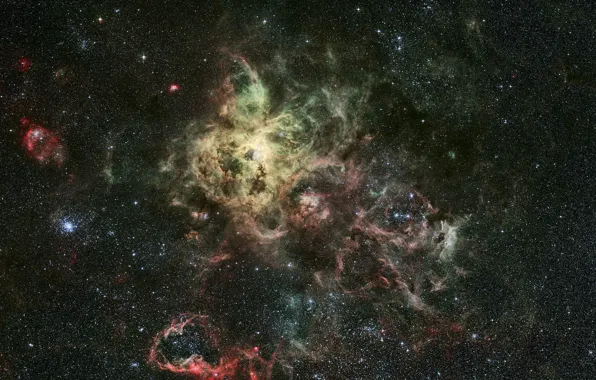 Constellation, Gold Fish, emission nebula, Tarantula, NGC 2070
