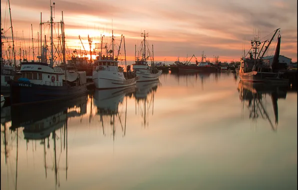 Picture the evening, harbour, boats. sunset