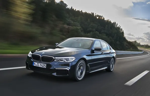 Road, forest, movement, markup, black, BMW, the fence, sedan