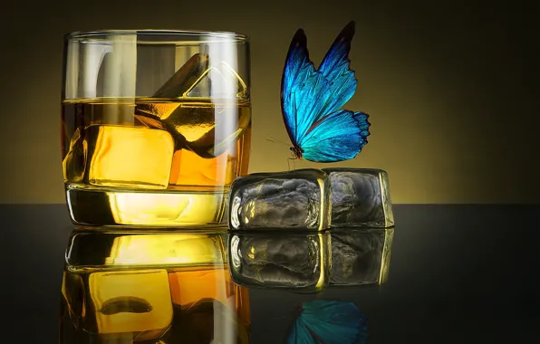 Ice, butterfly, glass, glass, ice, whiskey, whiskey, butterfly