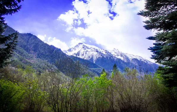 Picture mountains, The Caucasus, Dombay, Teberda