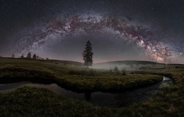 Stars, fog, river, tree, The Milky Way, river, stars, tree