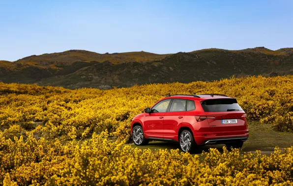 Car, machine, auto, background, Wallpaper, technique, car, SUV