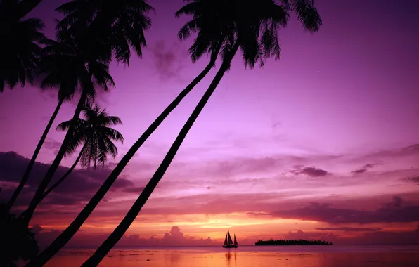 Picture sunset, nature, stay, island, journey, Tahiti, Tahiti, French Polynesia