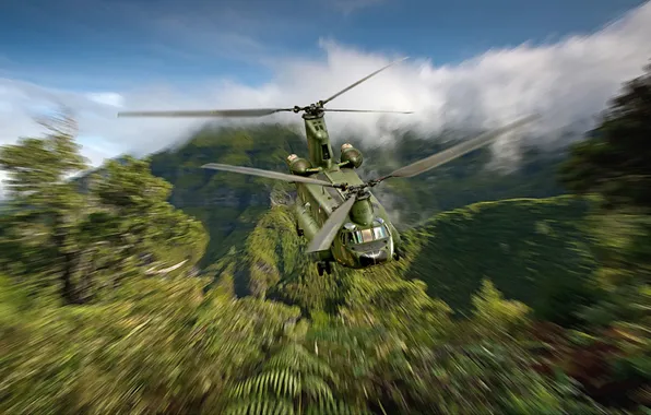 Picture Mountains, Trees, Flight, Helicopter, USA, Art, American, Boeing CH-47 Chinook