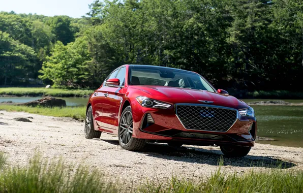 Sedan, front view, Genesis, 2019, G70