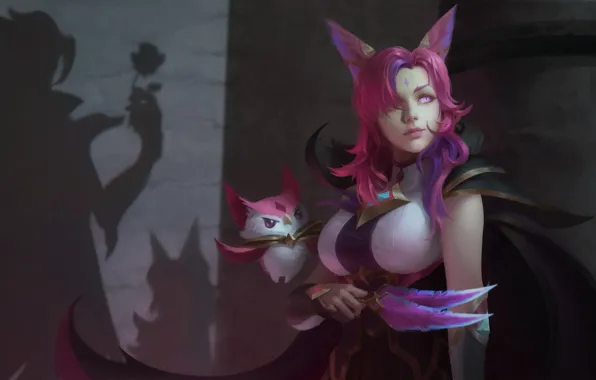 Wallpaper silhouette, shadow, girl, League of Legends, animal