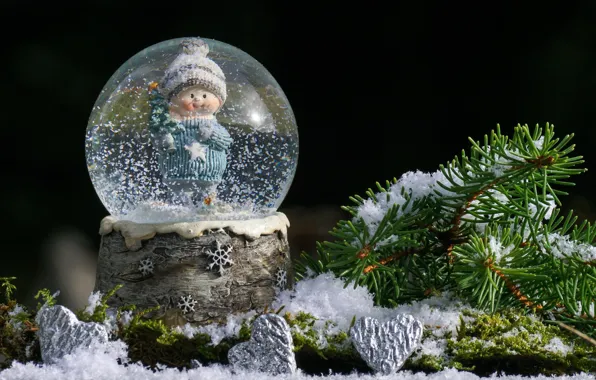Snow, Spruce, New year, dwarf