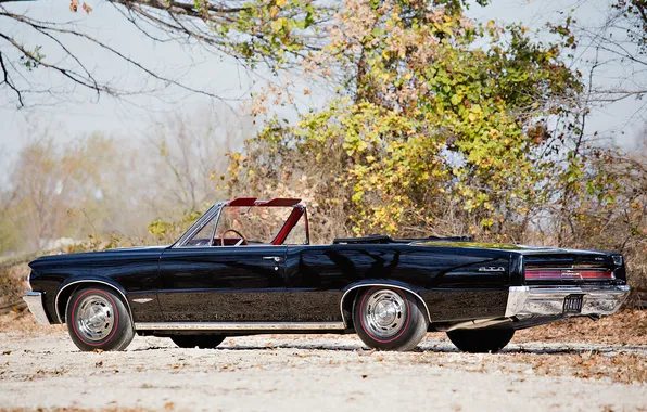 Convertible, Pontiac, GTO, Pontiac, 1964, retro cars, Convertible, LeMans
