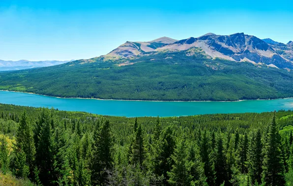 Picture forest, the sky, trees, mountains, lake, panorama, USA, Glacier National Park