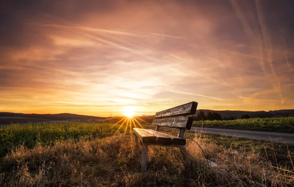 Road, light, morning, bench