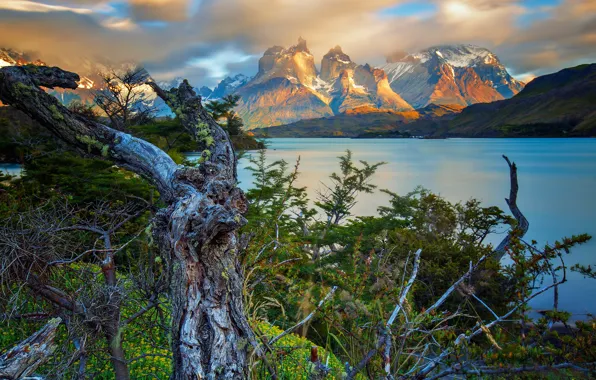 Picture mountains, lake, Argentina, Patagonia