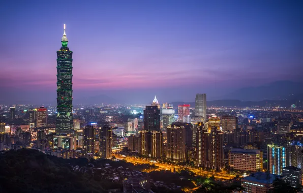 The sky, night, the city, lights, view, building, tower, height