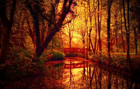 Picture autumn, trees, bridge, pond, Park, stream