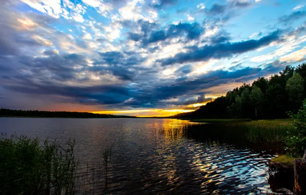 Wave, forest, water, the sun, clouds, landscape, sunset, nature