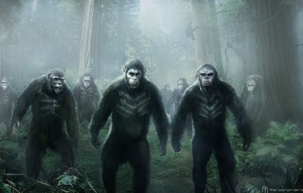 Monkey, Caesar, Caesar, Planet of the apes: the Revolution, Dawn of the Planet of the …
