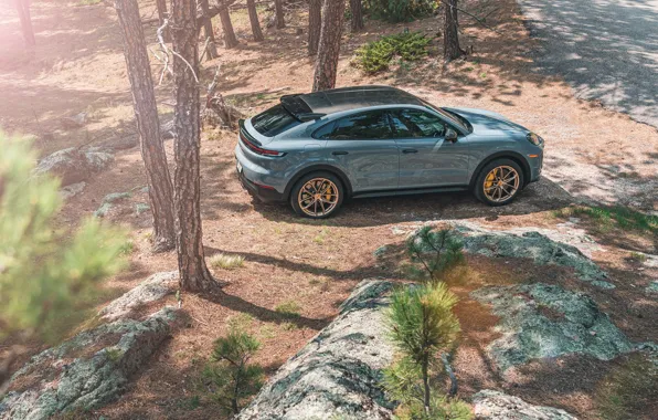 Car, Porsche, trees, Cayenne, Porsche Cayenne Turbo GT